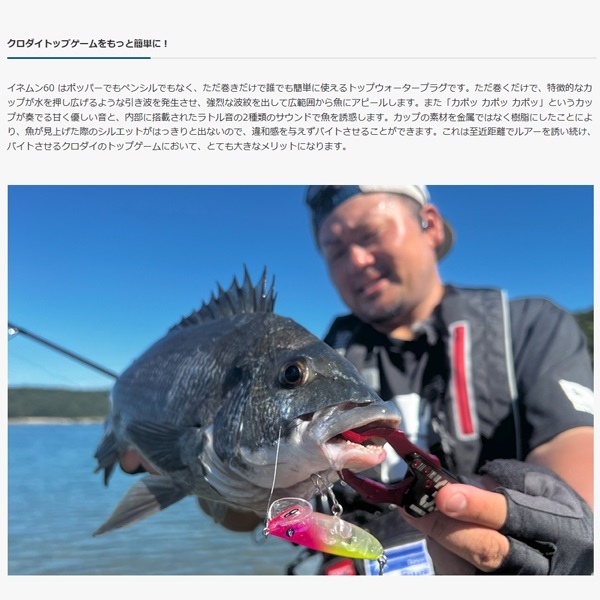イネムン 60
